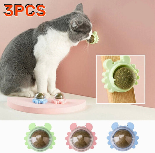 3Pcs Natural Catnip Kitten Mint Balls Safe Healthy Teeth Cleaning Dental Toy