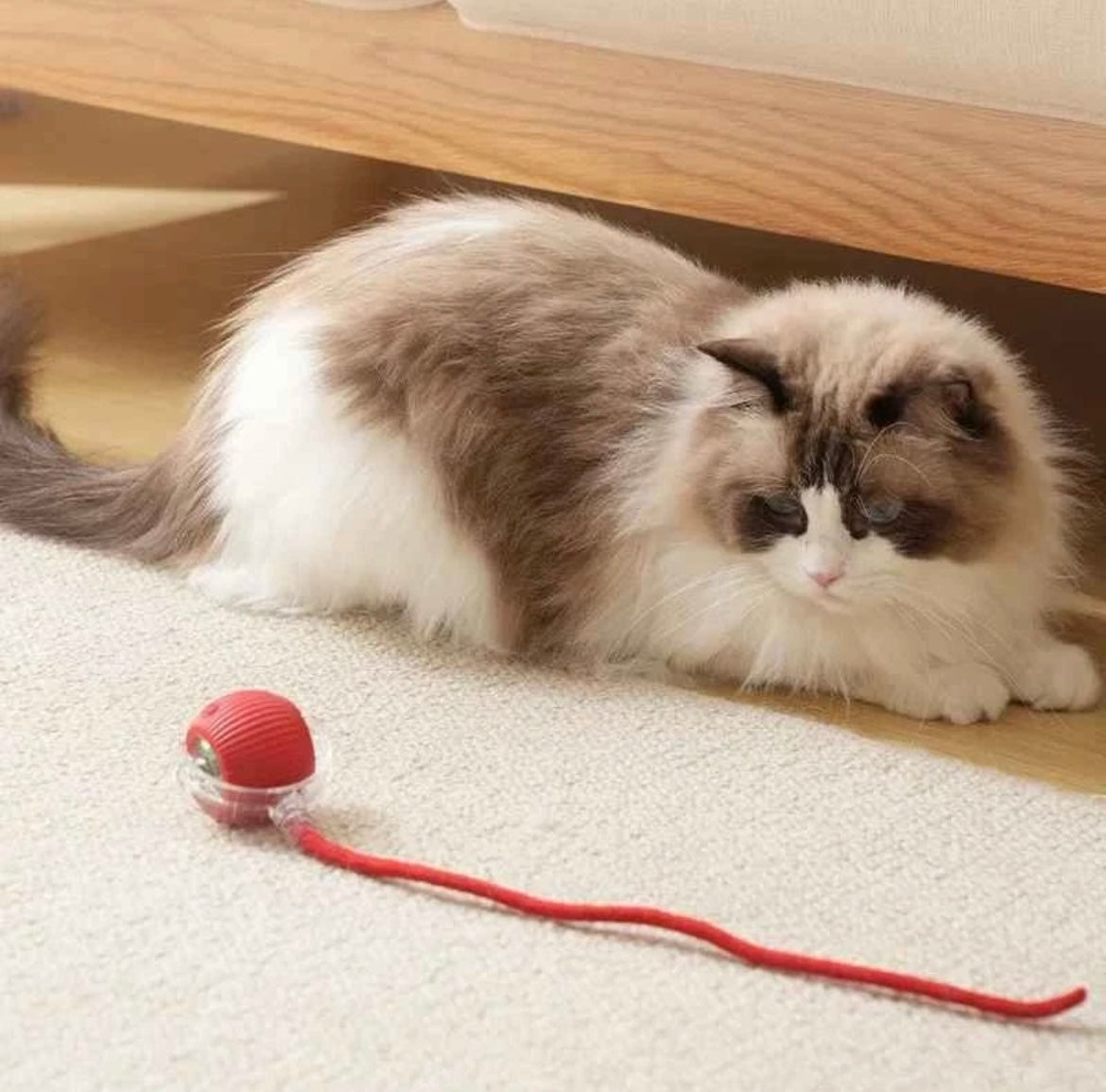 Automatic Rolling Ball Smart Cat Dog Toy Electric Pet Self-moving Kitten Game